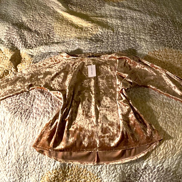Spense Tops - Crushed Velvet Blush Blouse